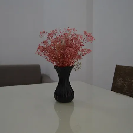 Wilson Appartement